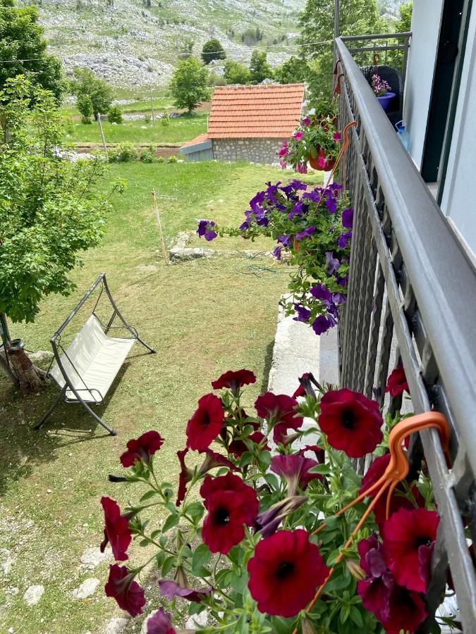 Guest House Markovic Lovcen Cetinje Eksteriør billede