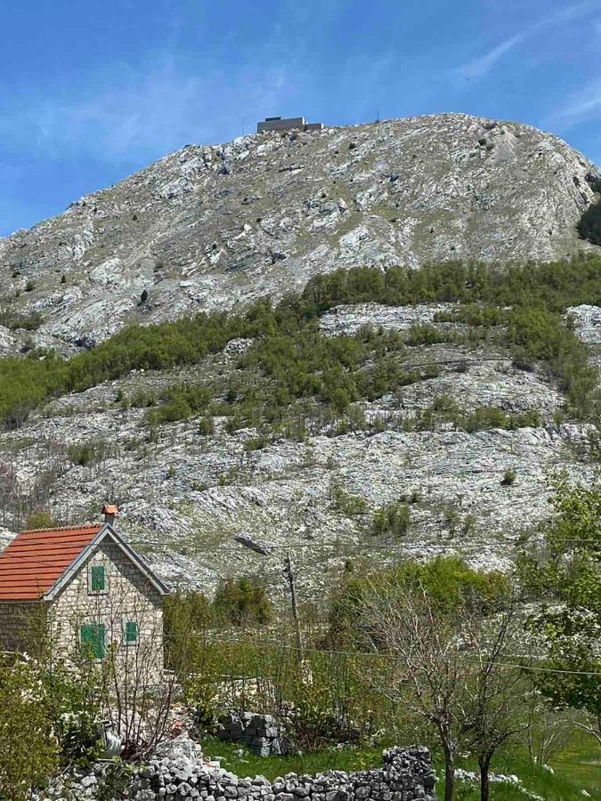 Guest House Markovic Lovcen Cetinje Eksteriør billede